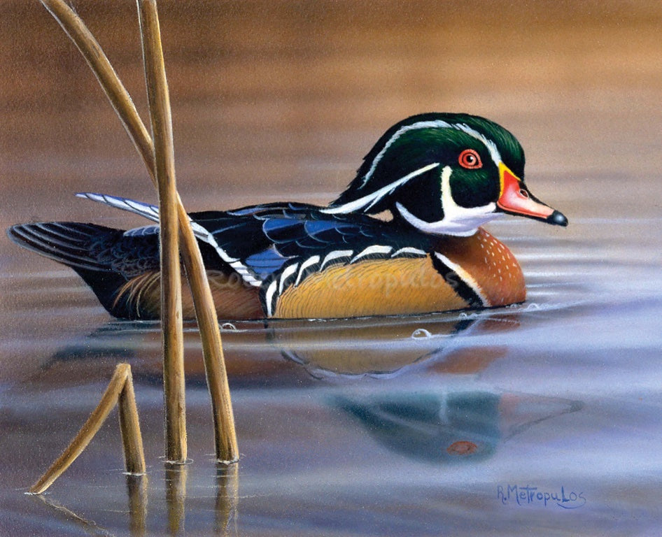 "Nature's Palette"