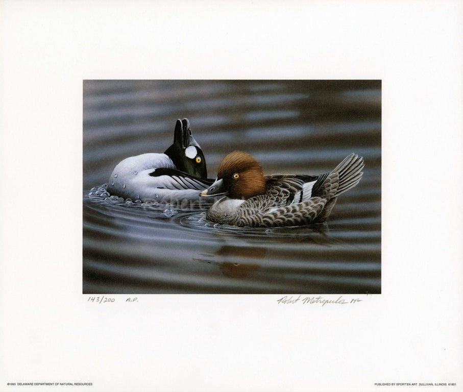 "1993 Delaware Duck Stamp"