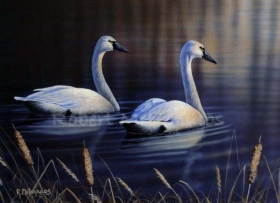 "2003 Ohio Ducks Unlimited Sponsor Print of the Year"