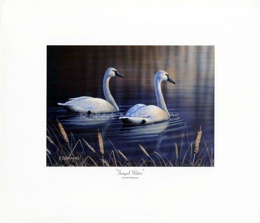 "2003 Ohio Ducks Unlimited Sponsor Print of the Year"