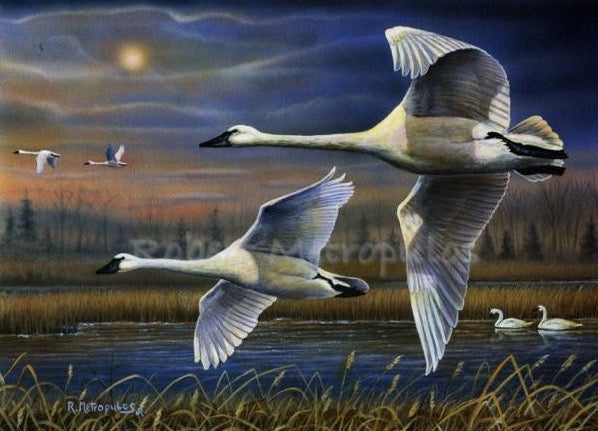 "2020 Ohio Ducks Unlimited Sponsor Print of the Year"