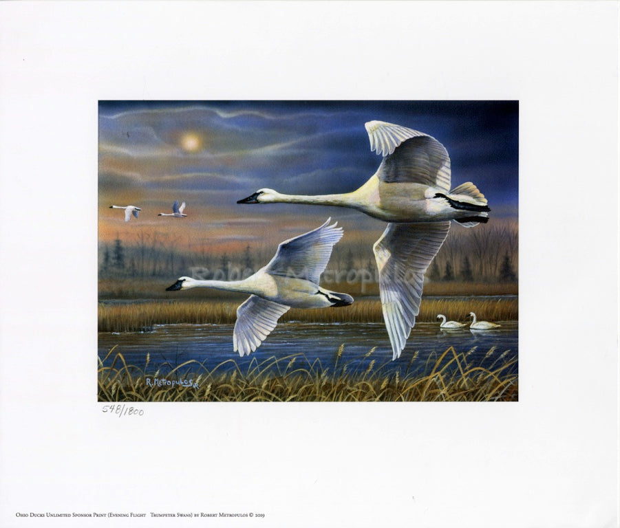 "2020 Ohio Ducks Unlimited Sponsor Print of the Year"