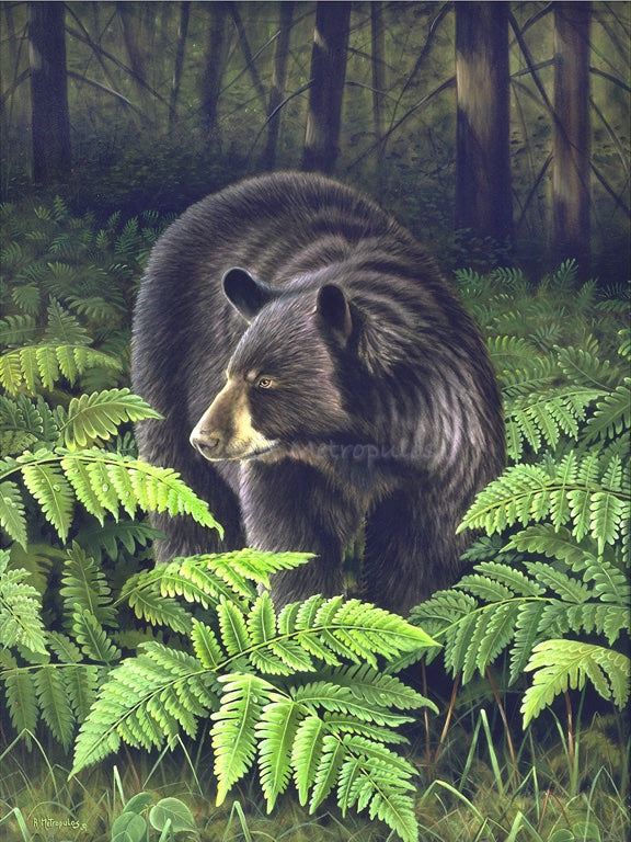 "Bracken Hollow"