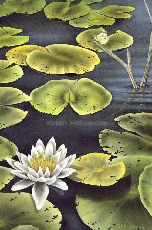 "Lily and Cabbage White"