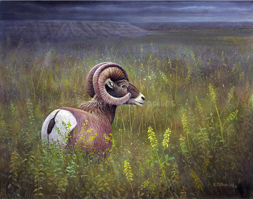 "Grazing The Grassland" | Original