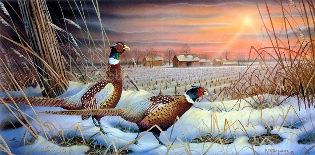 "A New Day"