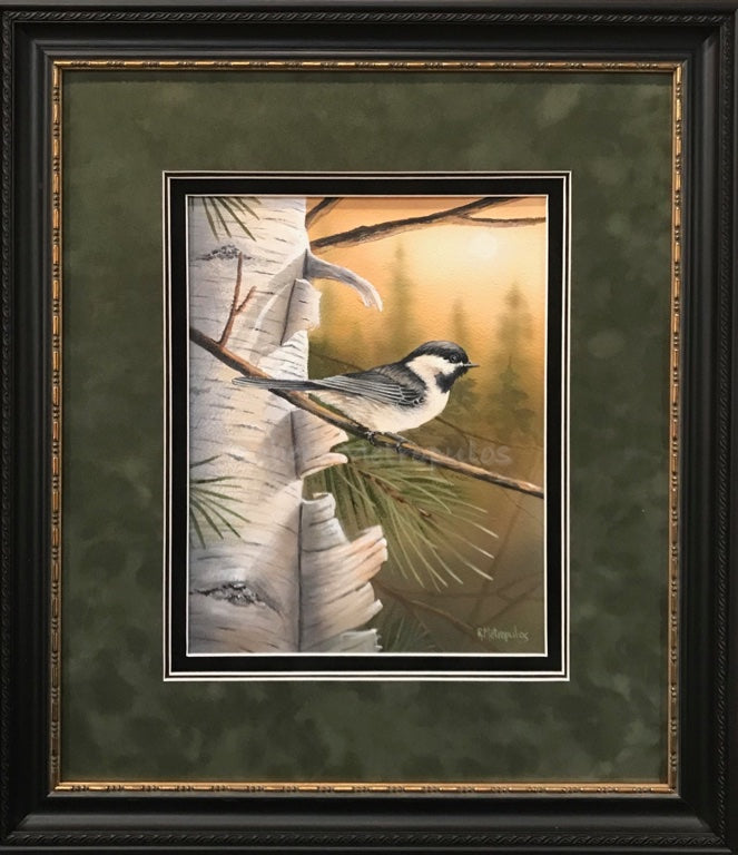 "Black-Capped Chickadee" | Original