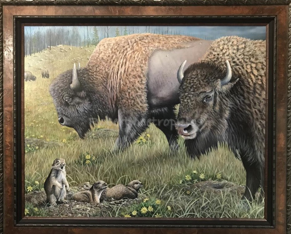"Another Day at Custer" (Custer State Park, South Dakota