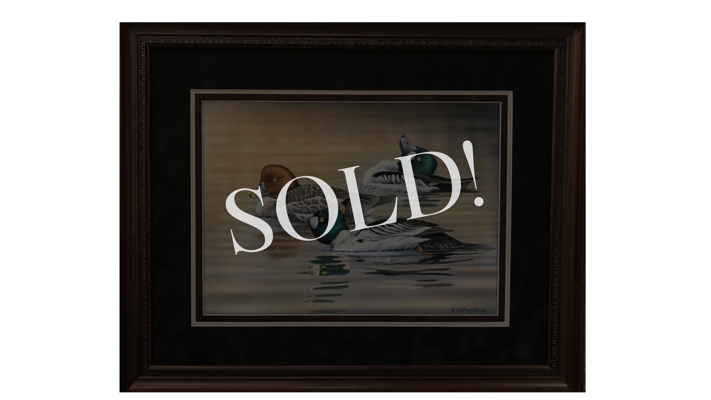 "Goldeneye Courtship" | Original