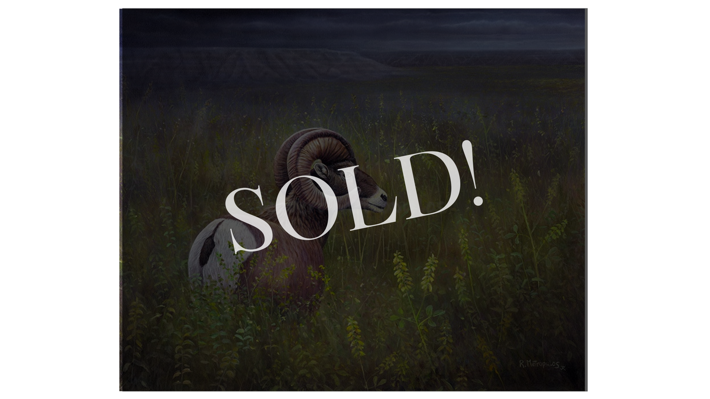 "Grazing The Grassland" | Original