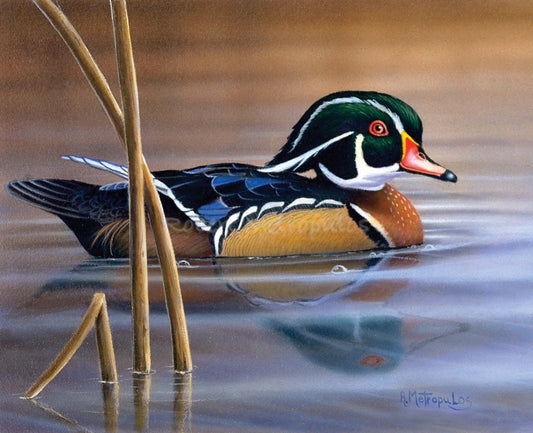 "Nature's Palette"