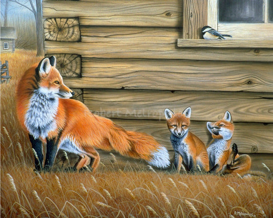"Red Fox"