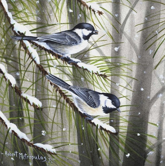 "Black-Capped Chickadees"