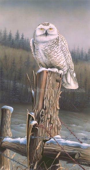 "Snowy Sentinel"