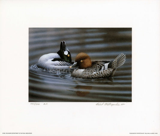 "1993 Delaware Duck Stamp"