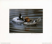 Load image into Gallery viewer, &quot;1993 Delaware Duck Stamp&quot;
