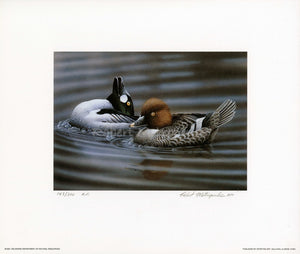 "1993 Delaware Duck Stamp"