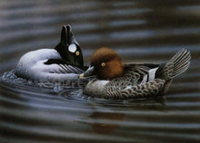 Load image into Gallery viewer, &quot;1993 Delaware Duck Stamp&quot;
