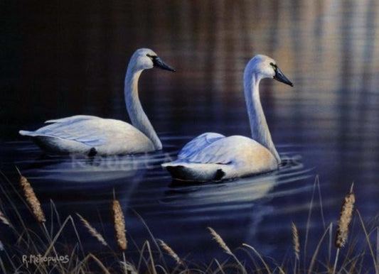 "2003 Ohio Ducks Unlimited Sponsor Print of the Year"