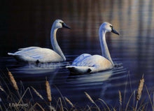 Load image into Gallery viewer, &quot;2003 Ohio Ducks Unlimited Sponsor Print of the Year&quot;
