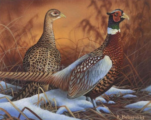 "2003 Wisconsin Pheasant Stamp"