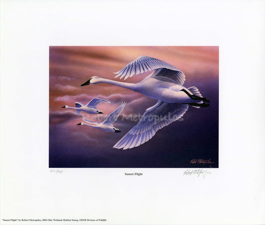 "2004 Ohio Waterfowl Stamp"