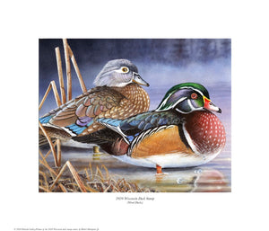 "2020 Wisconsin Duck Stamp Print"