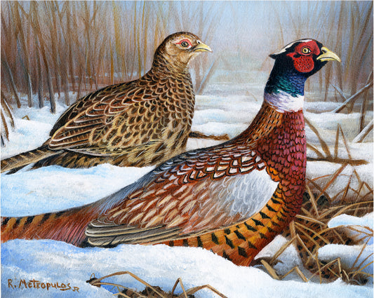 2021 Wisconsin Pheasant Stamp