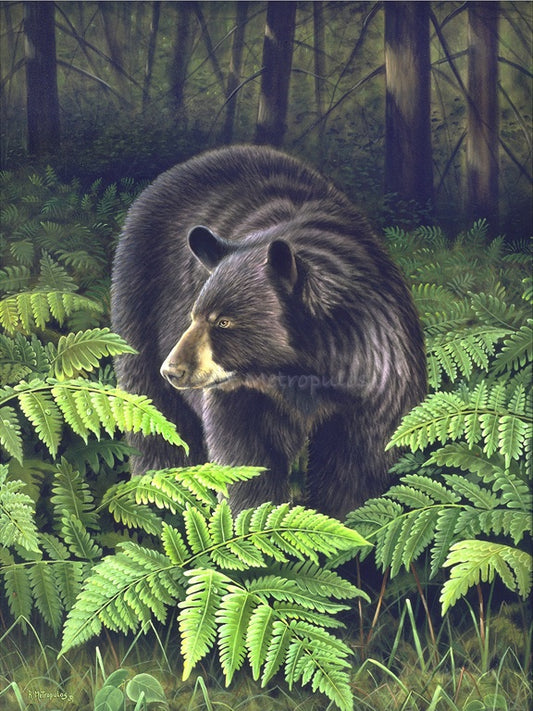 "Bracken Hollow"