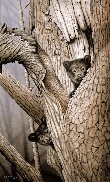 "Cub Scouts"