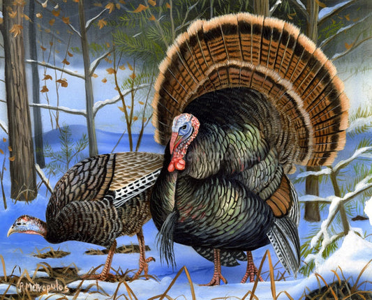 "Wild Turkey"