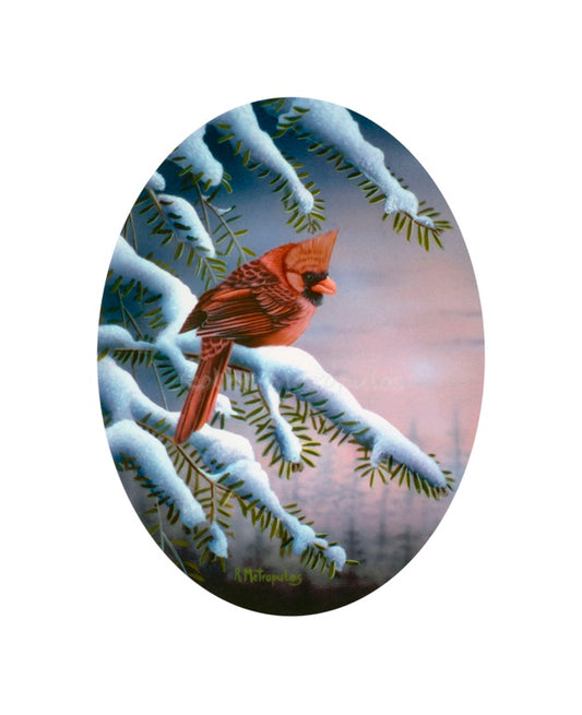 "Winter Cardinal"