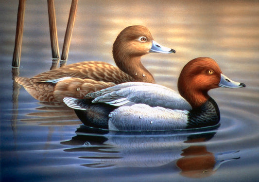 "Redheads"