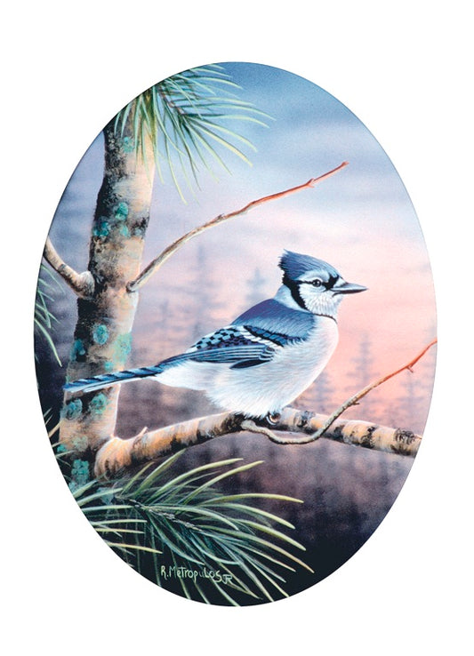 "Blue Jay"