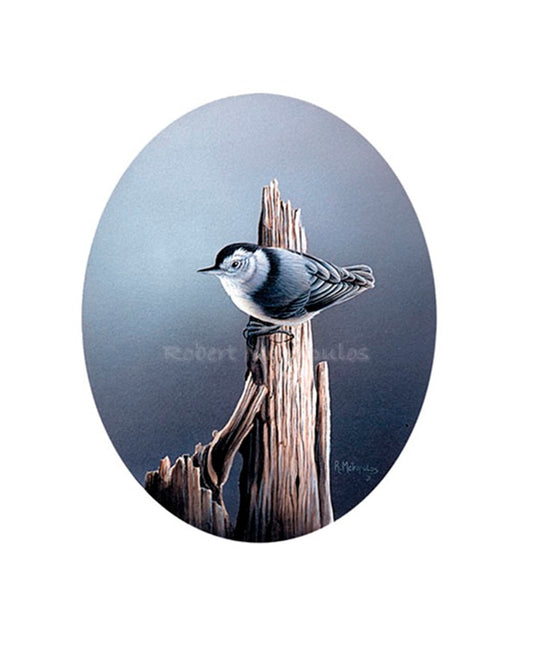 "Nuthatch"