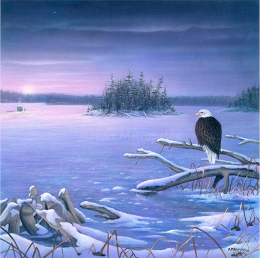 "Willow Flowage Tip-up"