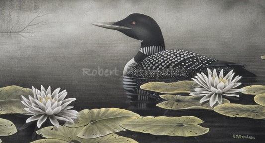 "Serenity Loon"