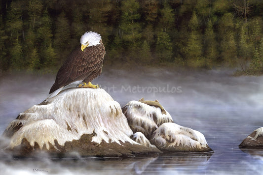 "Eagle at Gull Rock"