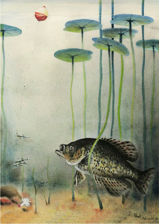 "Crappie Fishin"