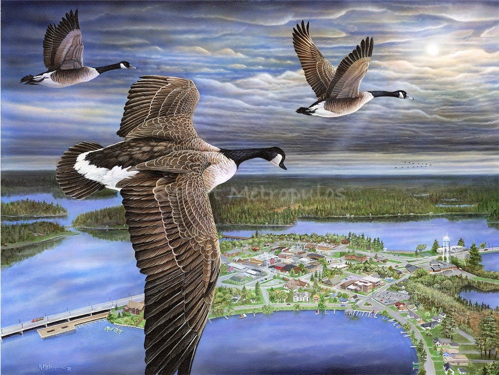"Coming Home"