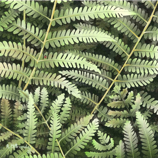 "Fern Study #2"