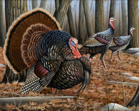 "Turkey"