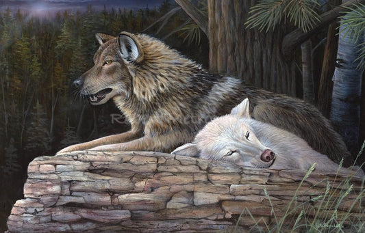 "Woodland Companions"