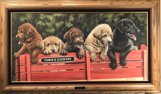 "All Aboard"