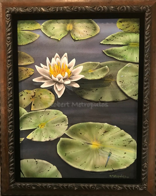 "Water Lilys"