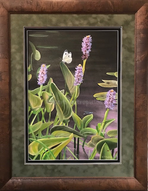 "Pickerel Steady"
