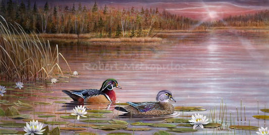 "Natures Splendor"