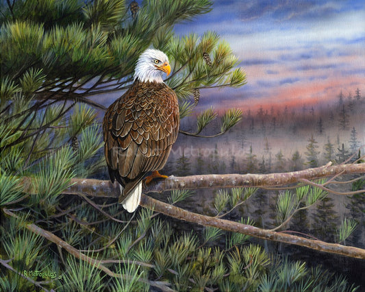 "Among The Pines"