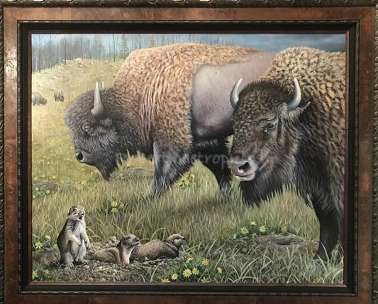 "Another Day at Custer" (Custer State Park, South Dakota