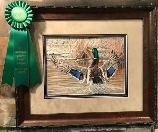 2020 Delaware Duck Stamp Entry